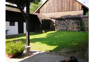 Počitniška hiša Čestice 9
